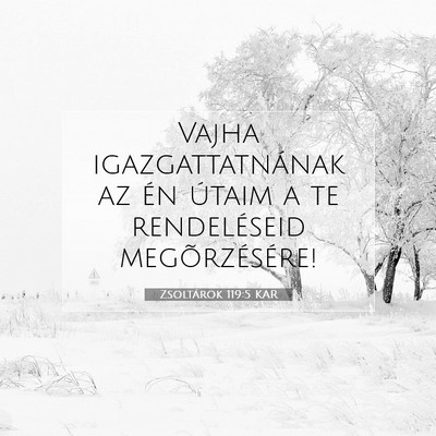 Picture 07 - Zsoltárok 119:5 KAR - Vajha igazgattatnának az én útaim a te - Bible Verse Picture