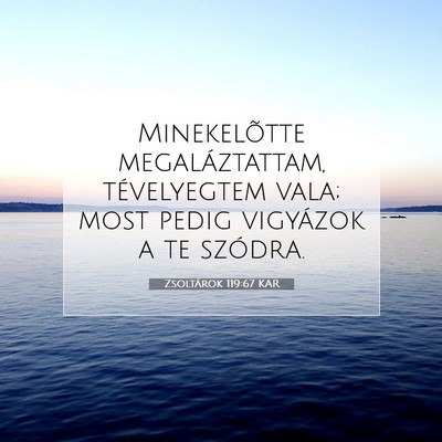 Picture 07 - Zsoltárok 119:67 KAR - Minekelõtte megaláztattam, tévelyegtem vala; - Bible Verse Picture