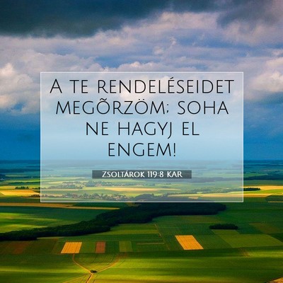 Picture 07 - Zsoltárok 119:8 KAR - A te rendeléseidet megõrzöm; soha ne hagyj el - Bible Verse Picture
