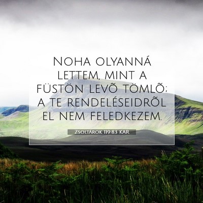 Picture 07 - Zsoltárok 119:83 KAR - Noha olyanná lettem, mint a füstön levõ - Bible Verse Picture