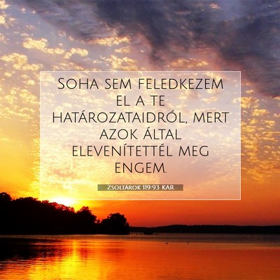 Picture 07 - Zsoltárok 119:93 KAR - Soha sem feledkezem el a te határozataidról, - Bible Verse Picture