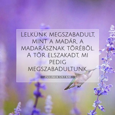 Picture 07 - Zsoltárok 124:7 KAR - Lelkünk megszabadult, mint a madár, a - Bible Verse Picture