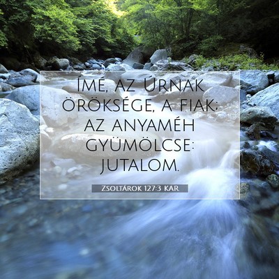Picture 07 - Zsoltárok 127:3 KAR - Ímé, az Úrnak öröksége, a fiak; az anyaméh - Bible Verse Picture