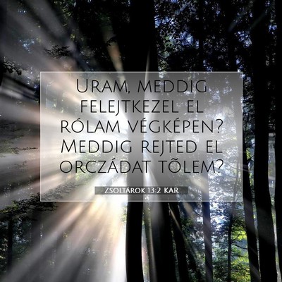 Picture 07 - Zsoltárok 13:2 KAR - Uram, meddig felejtkezel el rólam végképen? - Bible Verse Picture