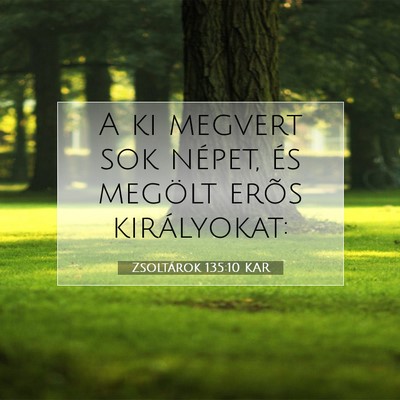 Picture 07 - Zsoltárok 135:10 KAR - A ki megvert sok népet, és megölt erõs - Bible Verse Picture