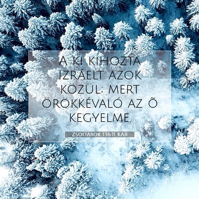 Picture 07 - Zsoltárok 136:11 KAR - A ki kihozta Izráelt azok közül; mert - Bible Verse Picture