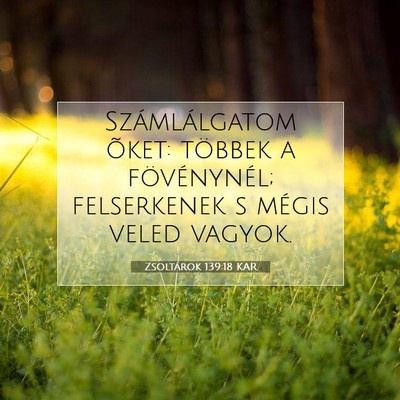Picture 07 - Zsoltárok 139:18 KAR - Számlálgatom õket: többek a fövénynél; - Bible Verse Picture
