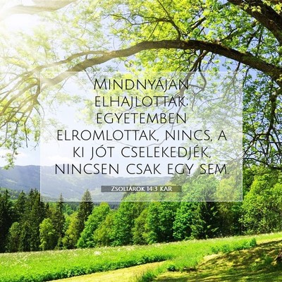 Picture 07 - Zsoltárok 14:3 KAR - Mindnyájan elhajlottak; egyetemben elromlottak, - Bible Verse Picture