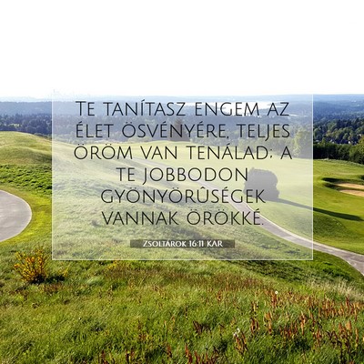 Picture 07 - Zsoltárok 16:11 KAR - Te tanítasz engem az élet ösvényére, teljes - Bible Verse Picture