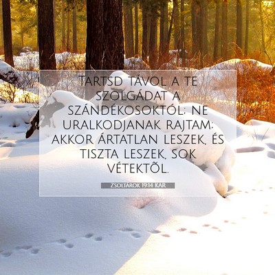 Picture 07 - Zsoltárok 19:14 KAR - Tartsd távol a te szolgádat a - Bible Verse Picture
