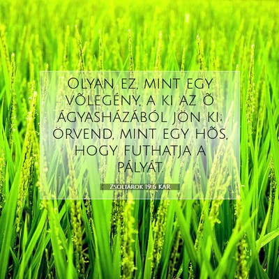 Picture 07 - Zsoltárok 19:6 KAR - Olyan ez, mint egy võlegény, a ki az õ - Bible Verse Picture