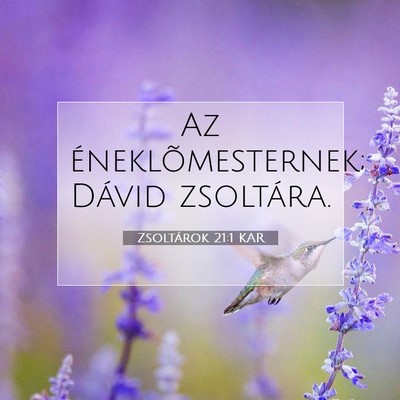 Picture 07 - Zsoltárok 21:1 KAR - Az éneklõmesternek; Dávid - Bible Verse Picture