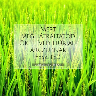 Picture 07 - Zsoltárok 21:13 KAR - Mert meghátráltatod õket, íved húrjait - Bible Verse Picture