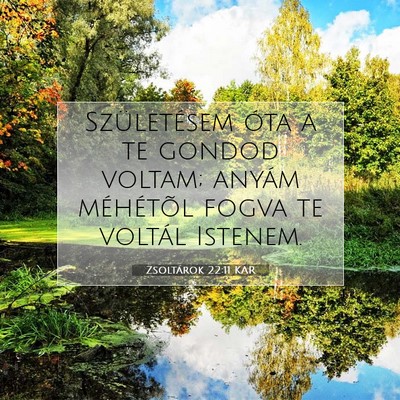 Picture 07 - Zsoltárok 22:11 KAR - Születésem óta a te gondod voltam; anyám - Bible Verse Picture