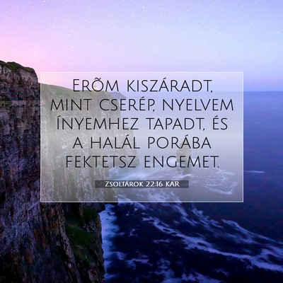 Picture 07 - Zsoltárok 22:16 KAR - Erõm kiszáradt, mint cserép, nyelvem ínyemhez - Bible Verse Picture