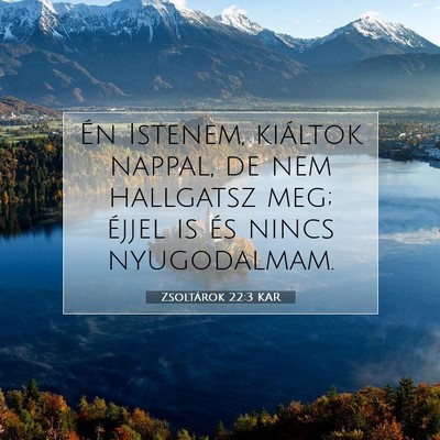 Picture 07 - Zsoltárok 22:3 KAR - Én Istenem, kiáltok nappal, de nem hallgatsz - Bible Verse Picture