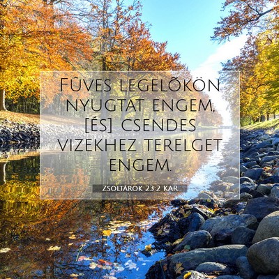 Picture 07 - Zsoltárok 23:2 KAR - Fûves legelõkön nyugtat engem, [és] csendes - Bible Verse Picture