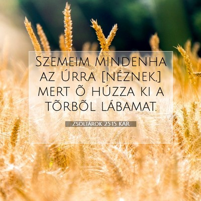 Picture 07 - Zsoltárok 25:15 KAR - Szemeim mindenha az Úrra [néznek,] mert õ - Bible Verse Picture