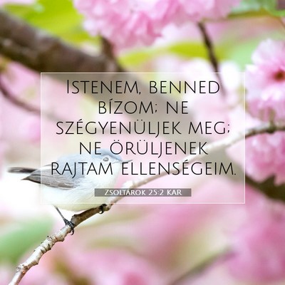 Picture 07 - Zsoltárok 25:2 KAR - Istenem, benned bízom; ne szégyenüljek meg; ne - Bible Verse Picture
