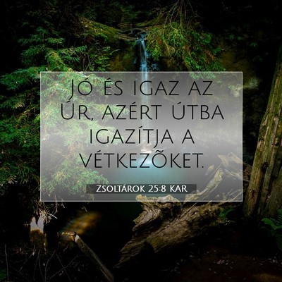 Picture 07 - Zsoltárok 25:8 KAR - Jó és igaz az Úr, azért útba igazítja a - Bible Verse Picture