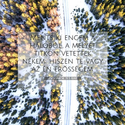 Picture 07 - Zsoltárok 31:5 KAR - Ments ki engem a hálóból, a melyet titkon - Bible Verse Picture