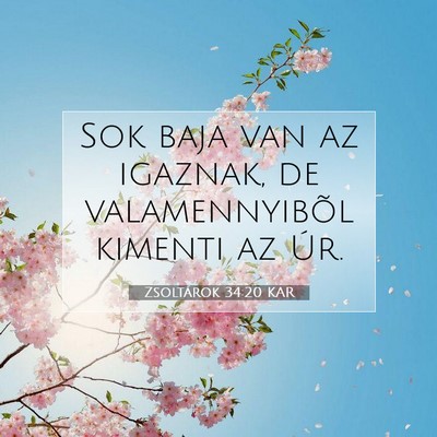 Picture 07 - Zsoltárok 34:20 KAR - Sok baja van az igaznak, de valamennyibõl - Bible Verse Picture