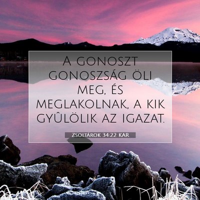 Picture 07 - Zsoltárok 34:22 KAR - A gonoszt gonoszság öli meg, és meglakolnak, a - Bible Verse Picture