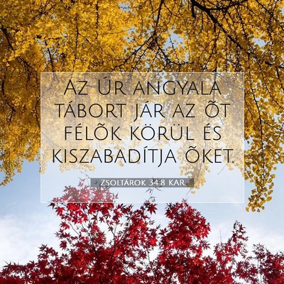 Picture 07 - Zsoltárok 34:8 KAR - Az Úr angyala tábort jár az õt félõk - Bible Verse Picture