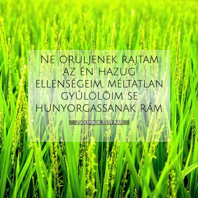 Picture 07 - Zsoltárok 35:19 KAR - Ne örüljenek rajtam az én hazug ellenségeim, - Bible Verse Picture