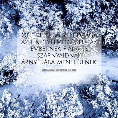 Picture 07 - Zsoltárok 36:8 KAR - Oh Isten, milyen drága a te kegyelmességed; az - Bible Verse Picture
