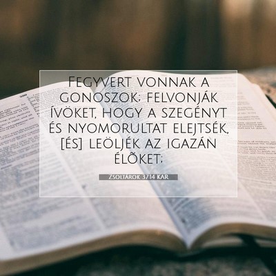 Picture 07 - Zsoltárok 37:14 KAR - Fegyvert vonnak a gonoszok; felvonják ívöket, - Bible Verse Picture
