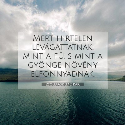 Picture 07 - Zsoltárok 37:2 KAR - Mert hirtelen levágattatnak, mint a fû, s mint - Bible Verse Picture