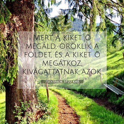 Picture 07 - Zsoltárok 37:22 KAR - Mert a kiket õ megáld, öröklik a földet, és - Bible Verse Picture