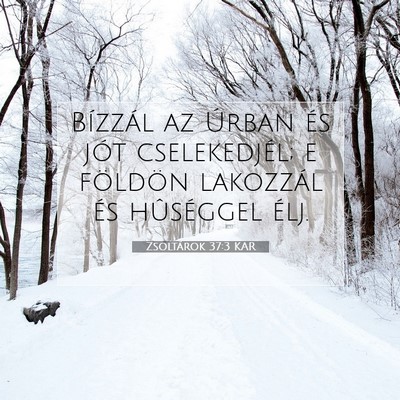 Picture 07 - Zsoltárok 37:3 KAR - Bízzál az Úrban és jót cselekedjél; e - Bible Verse Picture