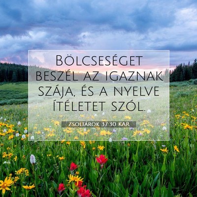 Picture 07 - Zsoltárok 37:30 KAR - Bölcseséget beszél az igaznak szája, és a - Bible Verse Picture