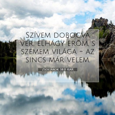 Picture 07 - Zsoltárok 38:11 KAR - Szívem dobogva ver, elhágy erõm, s szemem - Bible Verse Picture