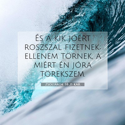 Picture 07 - Zsoltárok 38:21 KAR - És a kik jóért roszszal fizetnek; ellenem - Bible Verse Picture