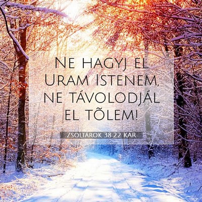Picture 07 - Zsoltárok 38:22 KAR - Ne hagyj el Uram Istenem, ne távolodjál el - Bible Verse Picture