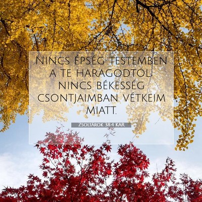 Picture 07 - Zsoltárok 38:4 KAR - Nincs épség testemben a te haragodtól; nincs - Bible Verse Picture