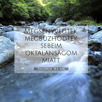 Picture 07 - Zsoltárok 38:6 KAR - Megsenyvedtek, megbûzhödtek sebeim - Bible Verse Picture