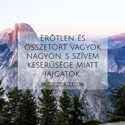 Picture 07 - Zsoltárok 38:9 KAR - Erõtlen és összetört vagyok nagyon, s szívem - Bible Verse Picture