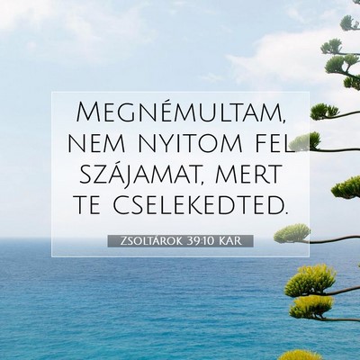 Picture 07 - Zsoltárok 39:10 KAR - Megnémultam, nem nyitom fel szájamat, mert te - Bible Verse Picture