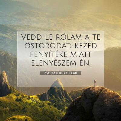 Picture 07 - Zsoltárok 39:11 KAR - Vedd le rólam a te ostorodat; kezed fenyítéke - Bible Verse Picture