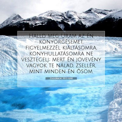 Picture 07 - Zsoltárok 39:13 KAR - Halld meg Uram az én könyörgésemet, - Bible Verse Picture