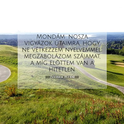 Picture 07 - Zsoltárok 39:2 KAR - Mondám: nosza vigyázok útaimra, hogy ne - Bible Verse Picture