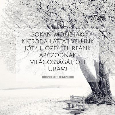 Picture 07 - Zsoltárok 4:7 KAR - Sokan mondják: Kicsoda láttat velünk jót? - Bible Verse Picture