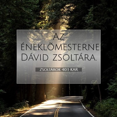 Picture 07 - Zsoltárok 40:1 KAR - Az éneklõmesternek; Dávid - Bible Verse Picture