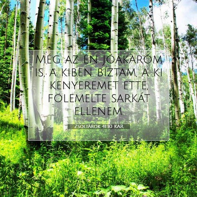 Picture 07 - Zsoltárok 41:10 KAR - Még az én jóakaróm is, a kiben bíztam, a ki - Bible Verse Picture
