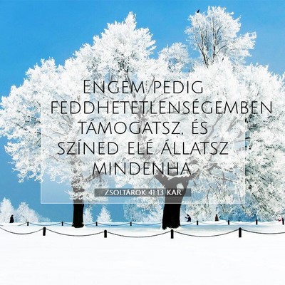 Picture 07 - Zsoltárok 41:13 KAR - Engem pedig feddhetetlenségemben támogatsz, és - Bible Verse Picture