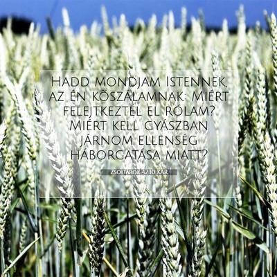 Picture 07 - Zsoltárok 42:10 KAR - Hadd mondjam Istennek, az én kõszálamnak: - Bible Verse Picture